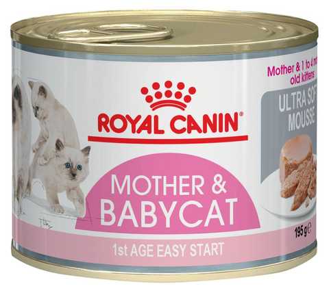 Royal Canin MOTHER BABYCAT