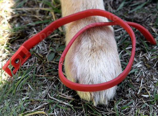 Over Zoo Bio Protecto Collar For Large Dogs - репелентний нашийник для собак великих порід Petmarket