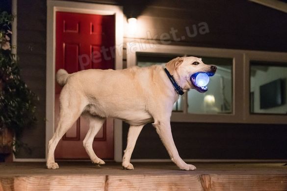Planet Dog STROBE - Светящийся Мяч - игрушка для собак - Белый Petmarket
