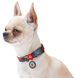 Collar WAUDOG Nylon Вітраж - нейлоновий нашийник для собак - 23-35 см