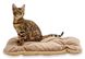 Harley and Cho TOMAS Beige - легка мобільна подушка для собак та котів - S 58х40 см