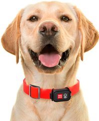 Collar WauDog GPS трекер для определения местоположения собак Petmarket