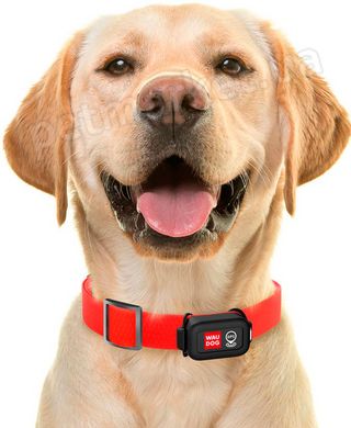Collar WauDog GPS трекер для визначення місця розташування собак Petmarket