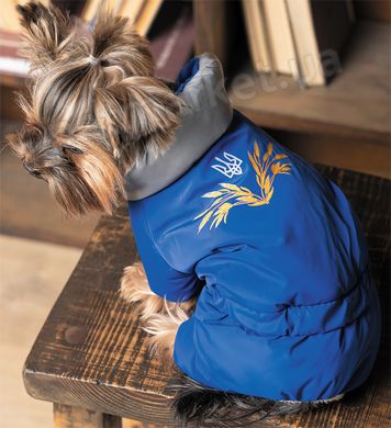 Pet Fashion ZHAN - костюм для собак Petmarket
