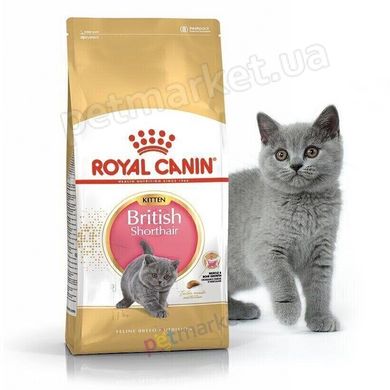 Архив RC BRITISH SHORTHAIR Kitten - корм для кошенят британської кішки Petmarket