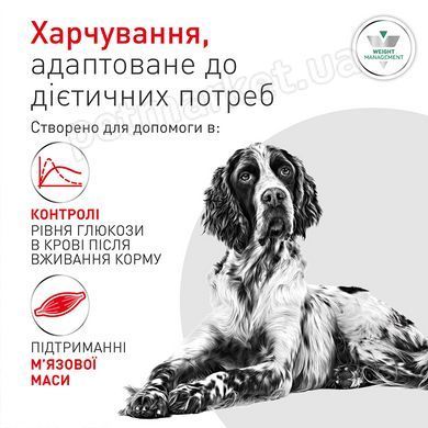 Royal Canin Glycobalance Low Carbohydrate Dog  - Глюкобеленс - лікувальний вологий корм для собак при цукровому діабеті (паштет) - 410 г % Petmarket