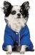 Pet Fashion ZHAN - костюм для собак, М