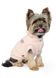 Pet Fashion Сьюзен толстовка - одяг для собак, XXS