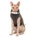 Pet Fashion CAT - свитер для кошек - ХXS %