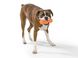 West Paw RUMPUS - Румпус - игрушка для собак -13 см, Оранжевый