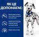 Hill&rsquo;s PD u/d - корм для здоровья мочевыделительной системы собак и при почечной недостаточности - 4 кг