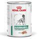 Royal Canin Glycobalance Low Carbohydrate Dog  - Глікобаланс - лікувальний вологий корм для собак при цукровому діабеті (паштет) - 410 г %