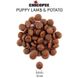 Chicopee Holistic PUPPY Lamb & Potato - беззерновой корм для щенков (ягненок/картофель) - 2 кг