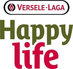 Happy Life (Хеппі Лайф)