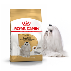 Royal Canin MALTESE - корм для собак породы мальтезе (мальтийская болонка) - 500 г Petmarket