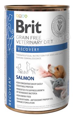 Brit GF VetDiet Recovery - беззерновой влажный корм для собак и кошек в период выздоровления (лосось) Petmarket