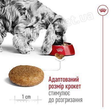Royal Canin Medium ADULT 7 + - сухий корм для собак середніх порід старше 7 років - 4 кг % Petmarket