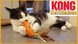 Kong Refillables Carrot Feather - игрушка со сменным блоком с кошачьей мятой для кошек