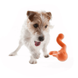 West Paw TIZZI - Тиззи для лакомств - прочная игрушка для собак, 11 см, голубой