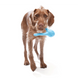 West Paw TIZZI - Тиззи для лакомств - прочная игрушка для собак, 18 см, зеленый