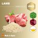 Amity Super Premium Lamb сухой корм для собак (ягненок) - 4 кг
