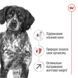 Royal Canin Medium ADULT 7+ - сухой корм для собак средних пород старше 7 лет - 4 кг %