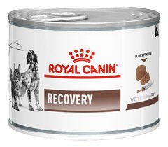 Royal Canin RECOVERY - влажный корм для собак и кошек в период выздоровления - 195 г Petmarket