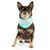 GF Pet Ice Band- охолоджувальна бандана для собак (бірюзова) Petmarket