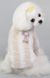Dobaz Plush Owl теплый плюшевый свитер для собак - S, Бежевый %