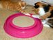 Georplast Happy Cat інтерактивна іграшка з кігтеточкою для кішок - 41х38х5 см