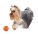Collar LIKER - Лайкер - м'ячик-іграшка для собак - 5 см