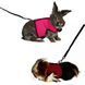 Trixie SOFT HARNESS - шлея з повідцем для дрібних тварин - XS