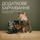 Savory Cats Snacks Crunchy Balls - лакомство для привередливых кошек (кошачья мята) - 60 г