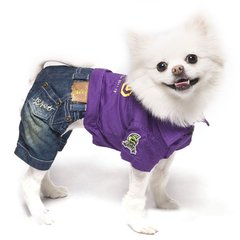 IsPet BUDDY костюм - одежда для собак - S, Фиолетовый % Petmarket