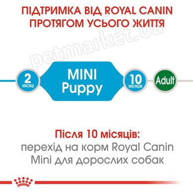 Royal Canin MINI PUPPY - корм для цуценят дрібних порід - 8 кг % Petmarket