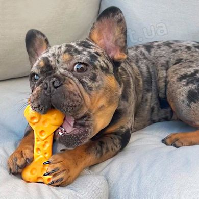 Nylabone Extreme Chew Cheese Bone - жевательная игрушка для собак (вкус сыра) Petmarket