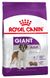 Royal Canin GIANT ADULT - корм для собак гігантських порід - 4 кг