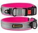 BronzeDog SPORT - нашийник для собак середніх та великих порід - XL, блакитний Petmarket