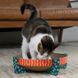 Petstages Scratch Snuggle and Rest Tan - картонная когтеточка и лежанка для кошек