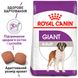Royal Canin GIANT ADULT - корм для собак гігантських порід - 15 кг %
