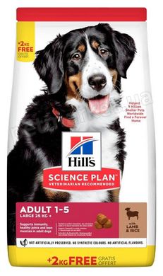 Hill's Science Plan ADULT Large Lamb & Rice - сухой корм для крупных собак (ягненок/рис) - 12 кг Petmarket