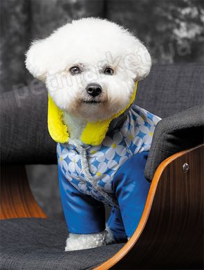 Pet Fashion TENDER - костюм для собак, XS Petmarket