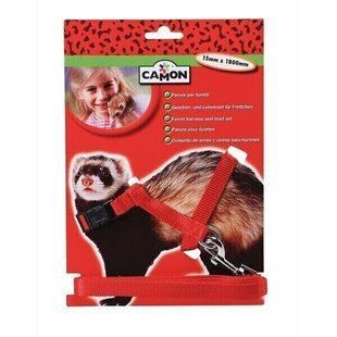 Camon ШЛЕЯ для хорьков Petmarket