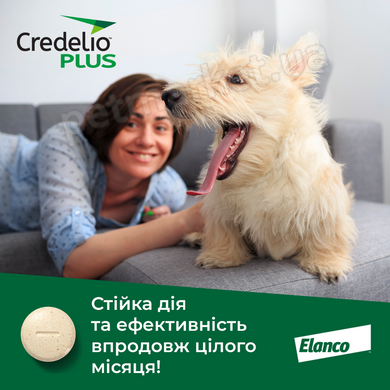 Elanco Credelio plus - Еланко Кределіо таблетка для собак від бліх та кліщів 1 табл, для собак вагою 22-45 кг Petmarket