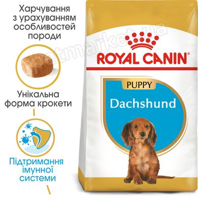 Royal Canin DACHSHUND Puppy - корм для щенков таксы - 1,5 кг Petmarket