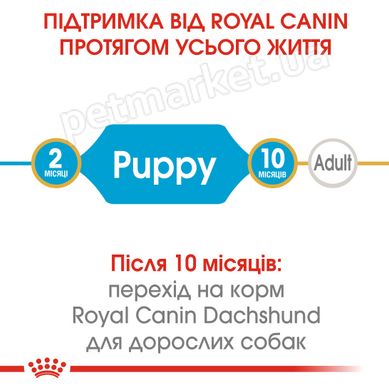 Royal Canin DACHSHUND Puppy - корм для щенков таксы - 1,5 кг Petmarket