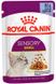 Royal Canin Sensory Smell шматочки в желе - вологий корм для вибагливих котів - 85 г %