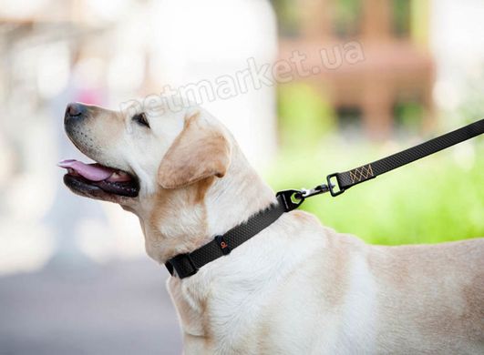 Collar EVOLUTOR - супер прочный ошейник для собак - Черный Petmarket