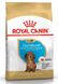 Royal Canin DACHSHUND Puppy - корм для цуценят такси - 1,5 кг %