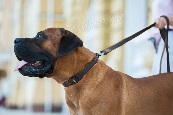 Collar EVOLUTOR - супер прочный ошейник для собак - Черный Petmarket